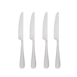 Food Network™ 4-pc. Classic Silver Dinner Knife Set